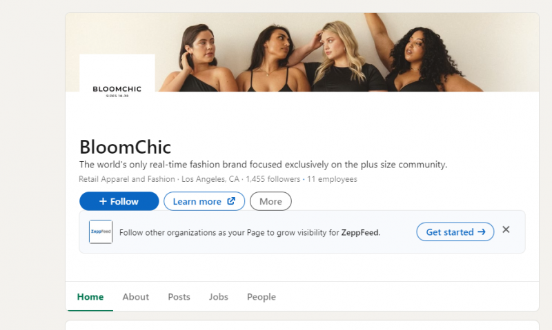 Bloomchic Linkedin